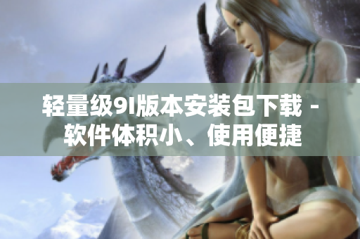 轻量级9I版本安装包下载 - 软件体积小、使用便捷