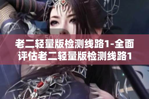 老二轻量版检测线路1-全面评估老二轻量版检测线路1的性能和可靠性