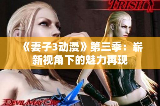 《妻子3动漫》第三季：崭新视角下的魅力再现