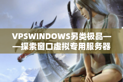 VPSWINDOWS另类极品——探索窗口虚拟专用服务器的独特魅力
