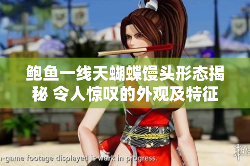 鲍鱼一线天蝴蝶馒头形态揭秘 令人惊叹的外观及特征