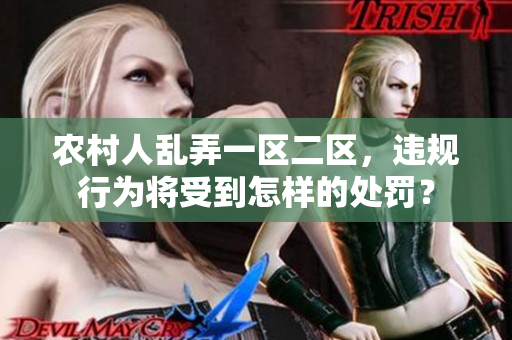 农村人乱弄一区二区，违规行为将受到怎样的处罚？