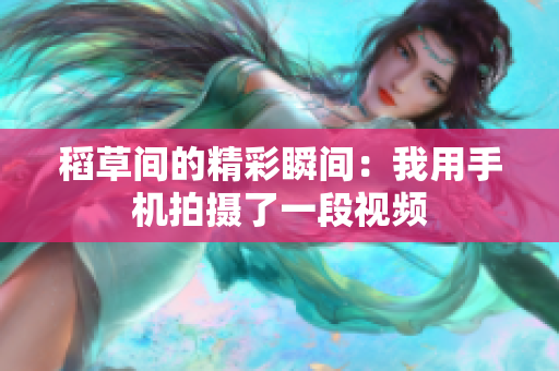 稻草间的精彩瞬间：我用手机拍摄了一段视频
