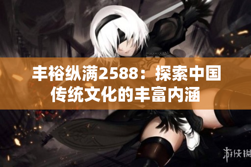 丰裕纵满2588：探索中国传统文化的丰富内涵