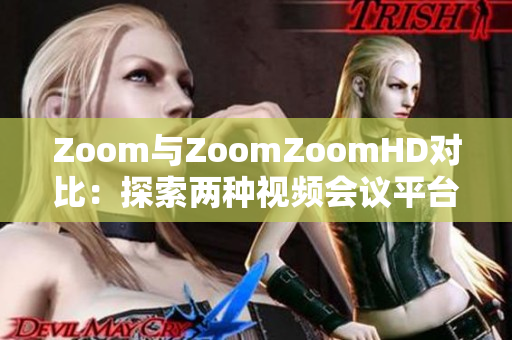Zoom与ZoomZoomHD对比：探索两种视频会议平台的异同与应用场景