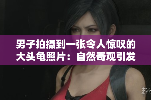 男子拍摄到一张令人惊叹的大头龟照片：自然奇观引发讨论