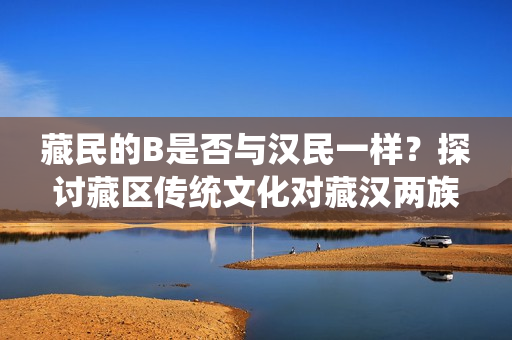 藏民的B是否与汉民一样？探讨藏区传统文化对藏汉两族人群身份认同的影响