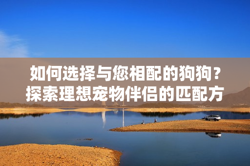 如何选择与您相配的狗狗？探索理想宠物伴侣的匹配方式