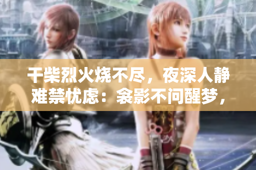 干柴烈火烧不尽，夜深人静难禁忧虑：衾影不问醒梦，寂静无声谁解心绪？