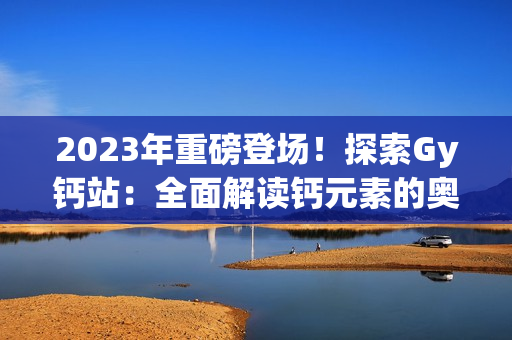 2023年重磅登场！探索Gy钙站：全面解读钙元素的奥秘