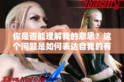 你是否能理解我的意思？这个问题是如何表达自我的有效方式。