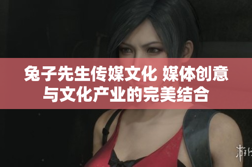 兔子先生传媒文化 媒体创意与文化产业的完美结合
