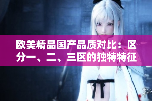 欧美精品国产品质对比：区分一、二、三区的独特特征