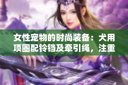 女性宠物的时尚装备：犬用项圈配铃铛及牵引绳，注重舒适与风格