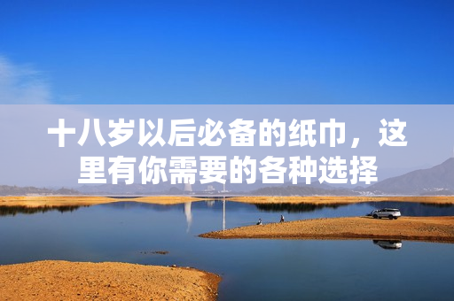 十八岁以后必备的纸巾，这里有你需要的各种选择