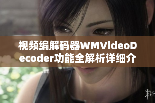 视频编解码器WMVideoDecoder功能全解析详细介绍及使用技巧