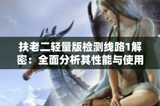 扶老二轻量版检测线路1解密：全面分析其性能与使用经验