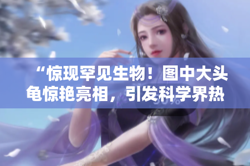 “惊现罕见生物！图中大头龟惊艳亮相，引发科学界热议！”