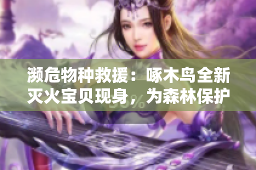 濒危物种救援：啄木鸟全新灭火宝贝现身，为森林保护注入新力量