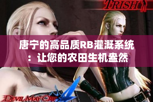 唐宁的高品质RB灌溉系统：让您的农田生机盎然