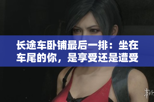 长途车卧铺最后一排：坐在车尾的你，是享受还是遭受？