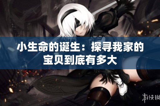 小生命的诞生：探寻我家的宝贝到底有多大