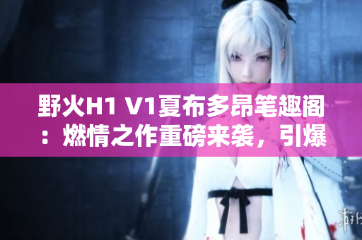 野火H1 V1夏布多昂笔趣阁：燃情之作重磅来袭，引爆读者热血澎湃情怀