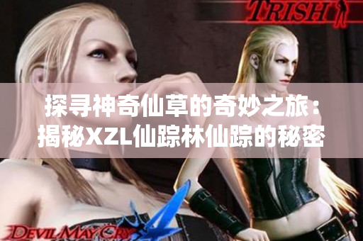 探寻神奇仙草的奇妙之旅：揭秘XZL仙踪林仙踪的秘密