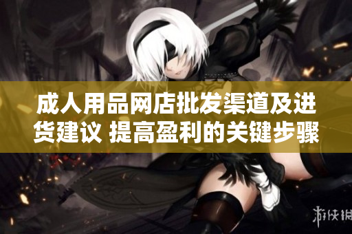 成人用品网店批发渠道及进货建议 提高盈利的关键步骤