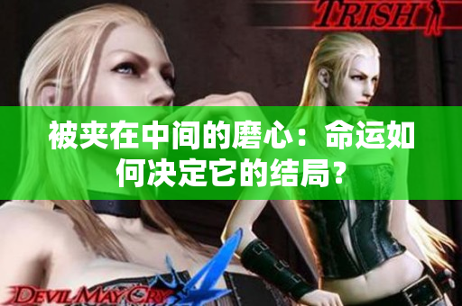 被夹在中间的磨心：命运如何决定它的结局？