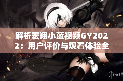 解析宏翔小蓝视频GY2022：用户评价与观看体验全面调查