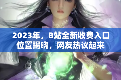2023年，B站全新收费入口位置揭晓，网友热议起来