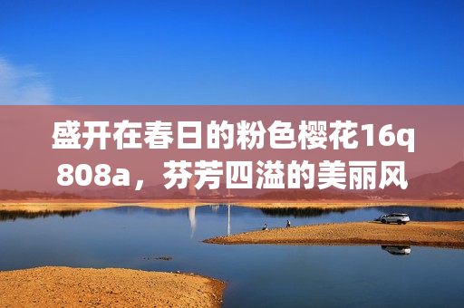 盛开在春日的粉色樱花16q808a，芬芳四溢的美丽风景