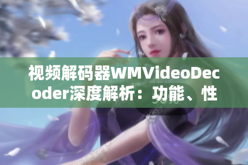 视频解码器WMVideoDecoder深度解析：功能、性能及适用范围