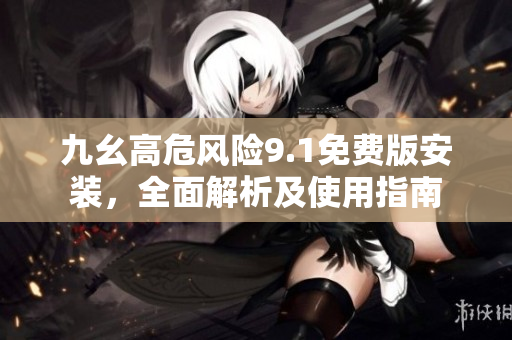 九幺高危风险9.1免费版安装，全面解析及使用指南
