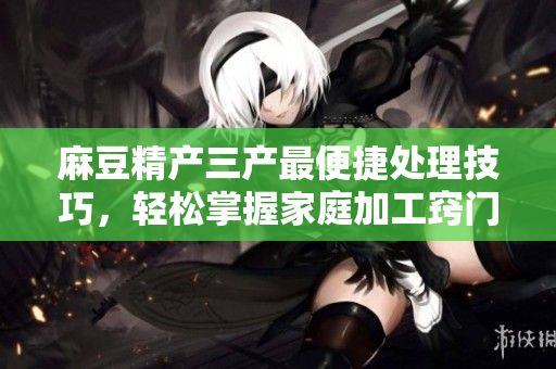 麻豆精产三产最便捷处理技巧，轻松掌握家庭加工窍门