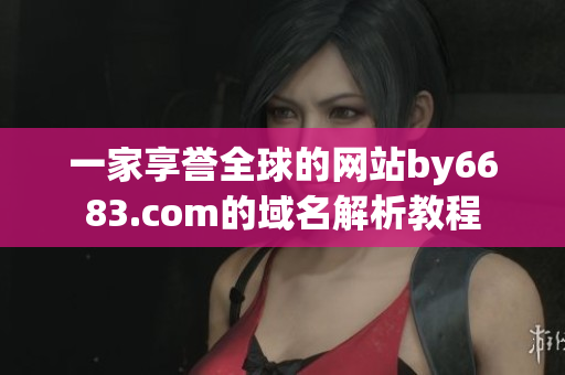 一家享誉全球的网站by6683.com的域名解析教程
