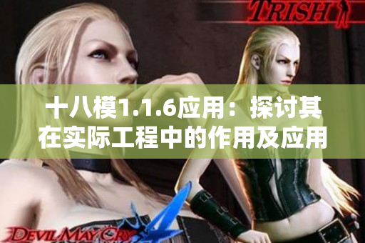 十八模1.1.6应用：探讨其在实际工程中的作用及应用效果