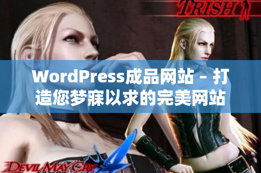 WordPress成品网站 – 打造您梦寐以求的完美网站