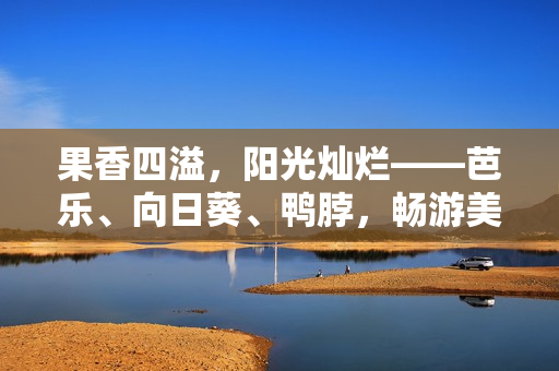 果香四溢，阳光灿烂——芭乐、向日葵、鸭脖，畅游美食之旅