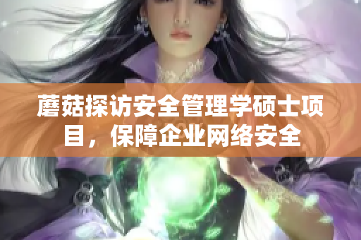蘑菇探访安全管理学硕士项目，保障企业网络安全