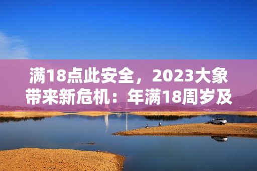 满18点此安全，2023大象带来新危机：年满18周岁及以上者的安全策略调整
