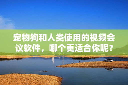 宠物狗和人类使用的视频会议软件，哪个更适合你呢？