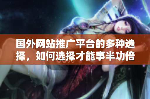 国外网站推广平台的多种选择，如何选择才能事半功倍？