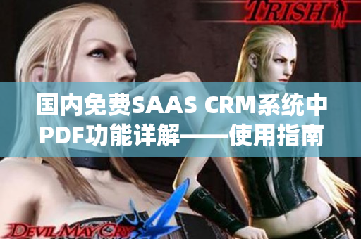 国内免费SAAS CRM系统中PDF功能详解――使用指南，功能介绍及使用技巧