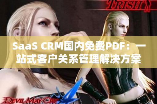 SaaS CRM国内免费PDF：一站式客户关系管理解决方案